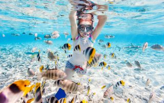 Woman snorkeling in clear tropical waters among colorful fish shows the best time to snorkel in Kauai. Kauai's north shore and south shore has abundance in marine life like sea urchins, the green sea turtles and the endangered hawaiian monk seal.