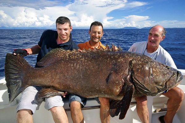 Deep sea group fishing caught a giant grouper at the ship of Captain Harry.
