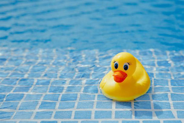 Rubber ducky in the shallow end of the pool. 