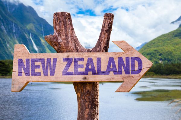 Arrow sign pointing forward with 'New Zealand' inscribed, set against a picturesque backdrop of lush greenery and shimmering water