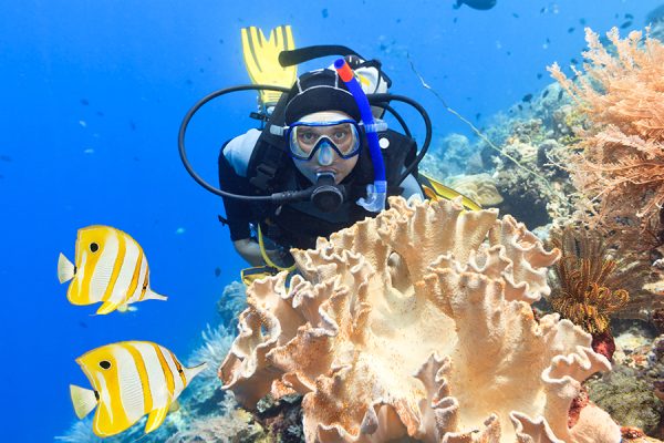 Scuba diving Kauai to see unique marine life